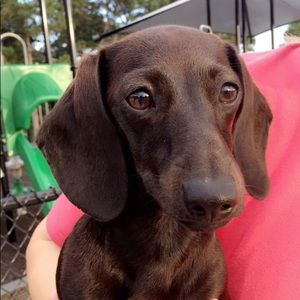 Meet your Posher, Mackenzie